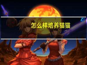 怎么样培养猫猫