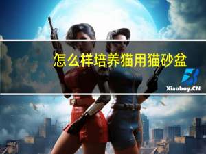 怎么样培养猫用猫砂盆