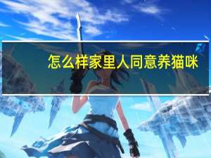 怎么样家里人同意养猫咪