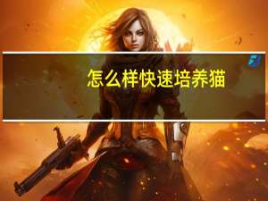 怎么样快速培养猫