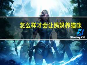 怎么样才会让妈妈养猫咪