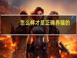 怎么样才是正确养猫的