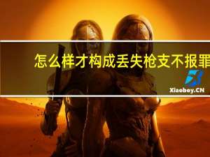 怎么样才构成丢失枪支不报罪