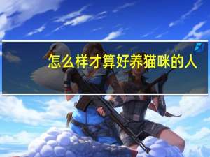 怎么样才算好养猫咪的人