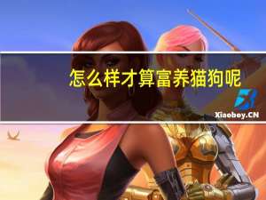 怎么样才算富养猫狗呢