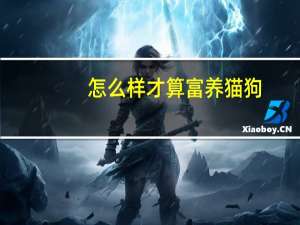 怎么样才算富养猫狗