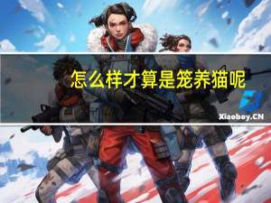 怎么样才算是笼养猫呢