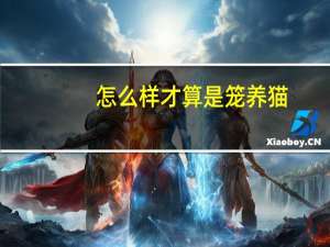 怎么样才算是笼养猫