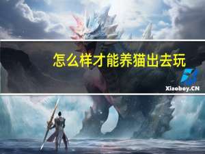 怎么样才能养猫出去玩