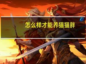 怎么样才能养猫猫胖