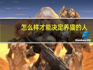 怎么样才能决定养猫的人