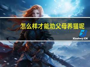 怎么样才能劝父母养猫呢