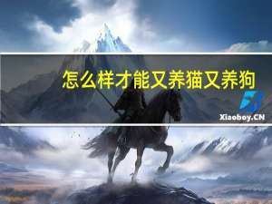 怎么样才能又养猫又养狗