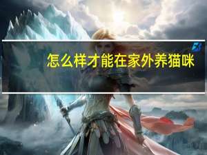 怎么样才能在家外养猫咪