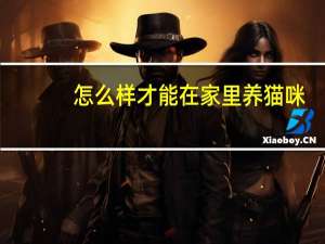 怎么样才能在家里养猫咪