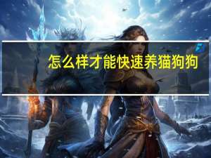 怎么样才能快速养猫狗狗