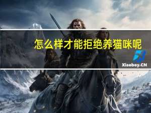 怎么样才能拒绝养猫咪呢