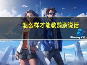 怎么样才能教鹦鹉说话