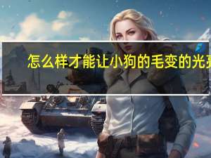 怎么样才能让小狗的毛变的光亮