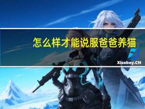 怎么样才能说服爸爸养猫