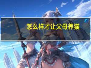 怎么样才让父母养猫