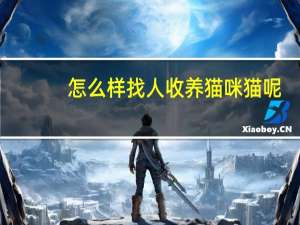 怎么样找人收养猫咪猫呢