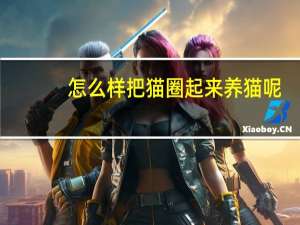 怎么样把猫圈起来养猫呢