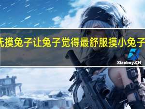 怎么样抚摸兔子让兔子觉得最舒服 摸小兔子哪里它最舒服