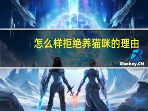 怎么样拒绝养猫咪的理由