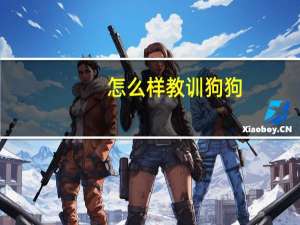 怎么样教训狗狗