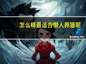 怎么样最适合懒人养猫呢