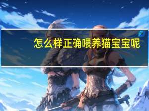 怎么样正确喂养猫宝宝呢