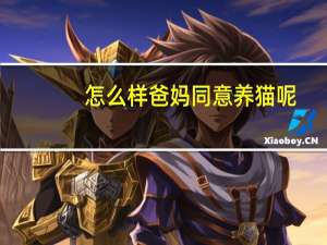 怎么样爸妈同意养猫呢