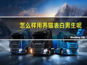 怎么样用养猫表白男生呢