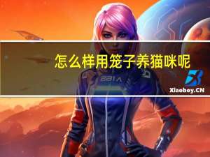 怎么样用笼子养猫咪呢