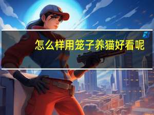 怎么样用笼子养猫好看呢