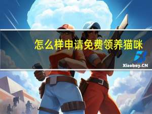 怎么样申请免费领养猫咪