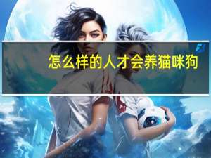 怎么样的人才会养猫咪狗