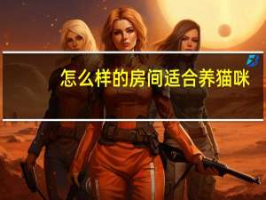 怎么样的房间适合养猫咪