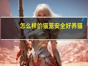 怎么样的猫笼安全好养猫
