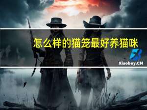 怎么样的猫笼最好养猫咪