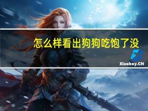 怎么样看出狗狗吃饱了没