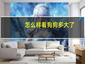 怎么样看狗狗多大了