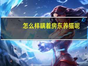 怎么样瞒着房东养猫呢
