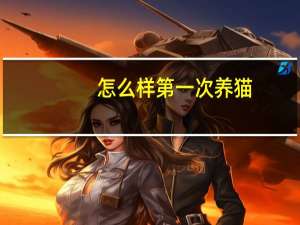 怎么样第一次养猫