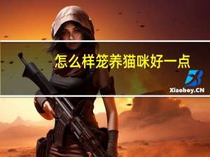 怎么样笼养猫咪好一点