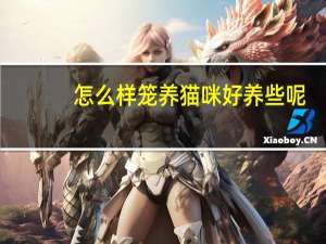 怎么样笼养猫咪好养些呢