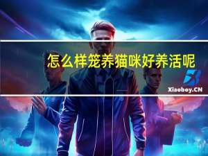 怎么样笼养猫咪好养活呢