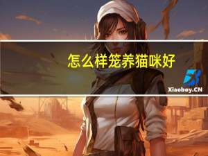 怎么样笼养猫咪好