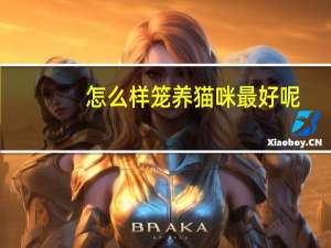怎么样笼养猫咪最好呢